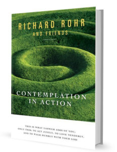 Contemplation-in-Action book