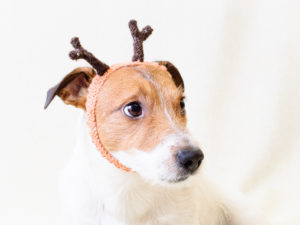 New Year costume of reindeer